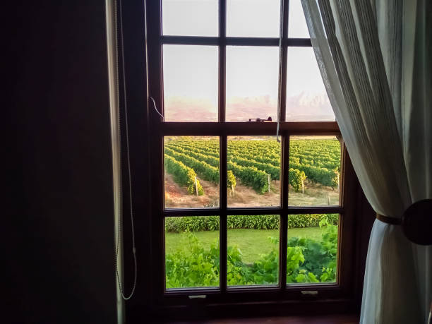 Window with curtain draped and vineyard sunset view.