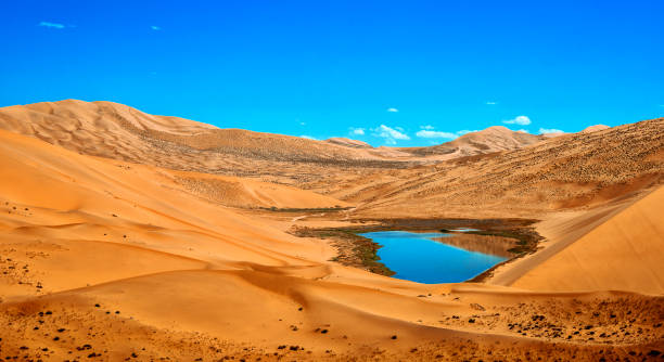 istock A Lake Like a Mirage in the Desert 1171126382