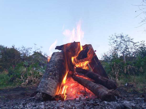 istock Bonfire burning. Coals in the fire. Burning. 1171128322