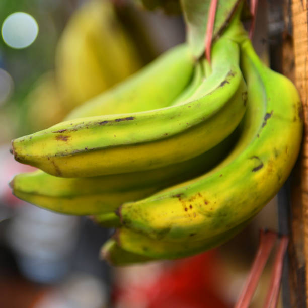 Bananas