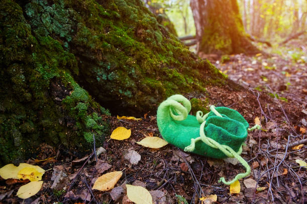 fairy creature elf or dwarf will leave his shoes near the entrance to his house in an old, moss-covered tree. - doormat door christmas holiday imagens e fotografias de stock