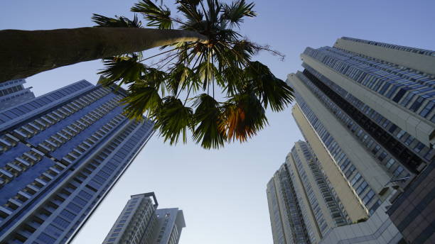 istock The tall buildings view from the public park 1171132395