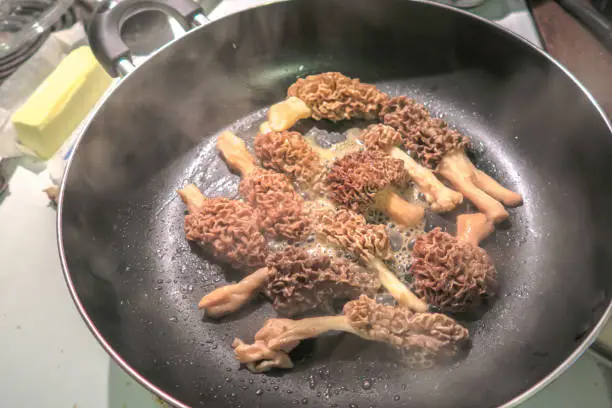 Close up food photograph of a frying pan of steaming hot wild morel mushrooms cut in half and coated in butter sizzling on the kitchen stove.