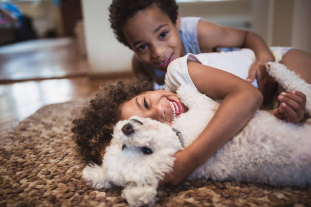 симпатичные смешанные - расы братьев и сестер, играющих дома с собакой - family with two children sibling two people family стоковые фото и изображения
