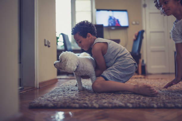 istock Cute mixed - race siblings playing at home with dog 1171136348