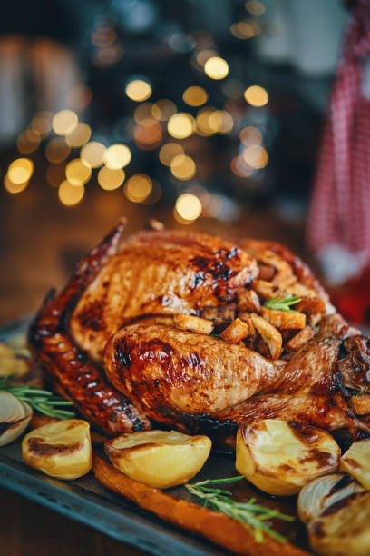 preparing stuffed turkey for holidays in domestic kitchen - christmas turkey imagens e fotografias de stock