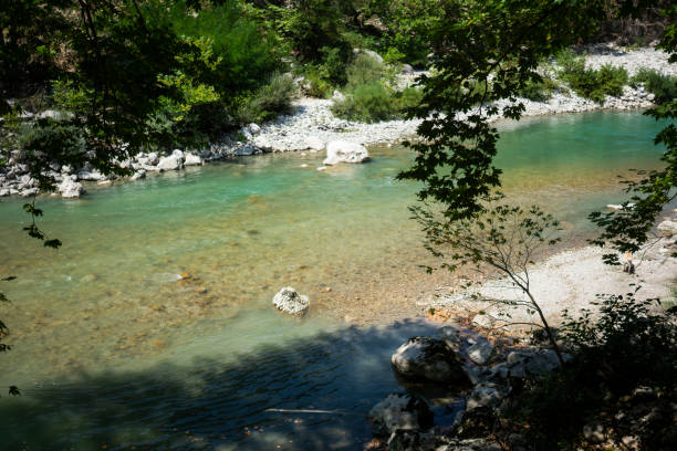 istock Aerial view of mountain river 1171137705