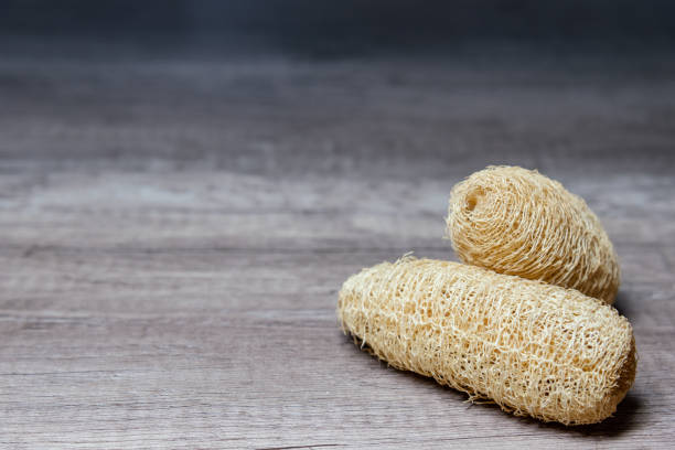 Natural loofah sponge gourd for bath rub on wooden floor. Selective focus of natural loofah sponge gourd for bath rub, dishes cleaning or exfoliating scrubber tool on wooden floor. loofah photos stock pictures, royalty-free photos & images
