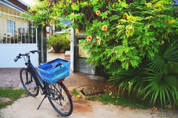 La Digue, Seychelles: Blue bike in front of a guesthouse gate and lush vegetation