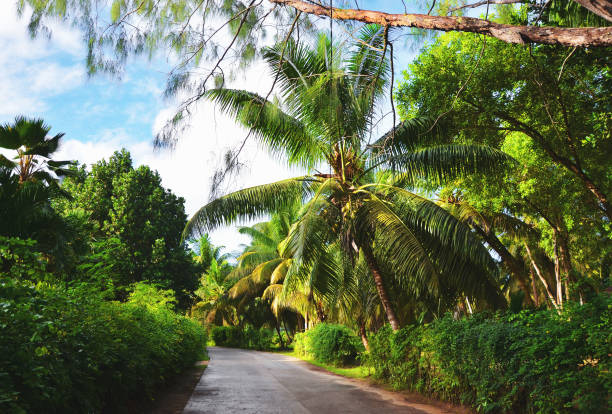 istock Streets of La Digue, Seychelles 1171139449