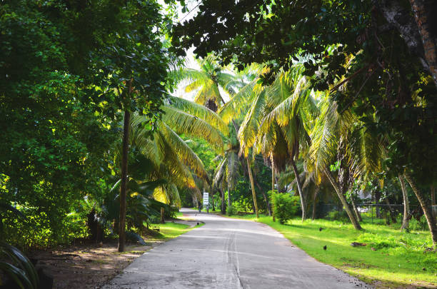 istock Streets of La Digue, Seychelles 1171139517