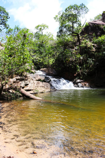 istock Landscape at Chapada dos Guimaraes 1171139827