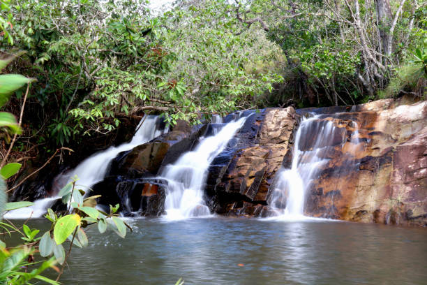 istock Landscape at Chapada dos Guimaraes 1171139838