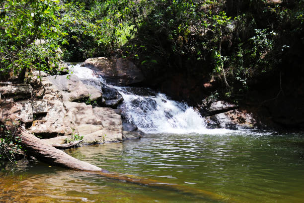 istock Landscape at Chapada dos Guimaraes 1171139840