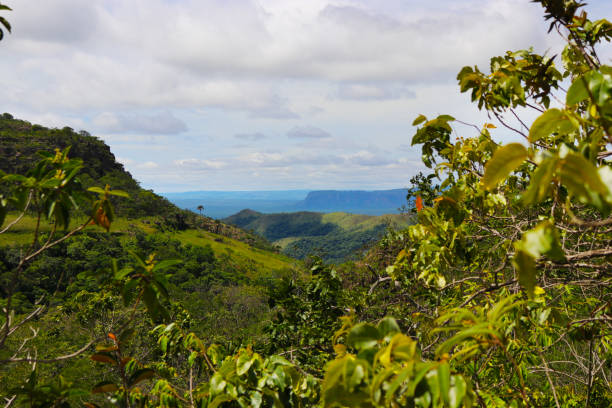 istock Landscape at Chapada dos Guimaraes 1171139855