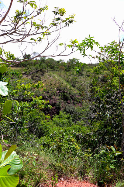 istock Landscape at Chapada dos Guimaraes 1171139866