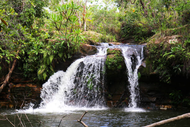 istock Landscape at Chapada dos Guimaraes 1171139912
