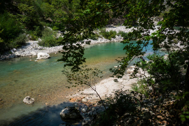 istock Aerial view of mountain river 1171140135
