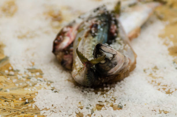 Whole raw organic mackerel fish with sea salt lying on a flat surface, healthy food