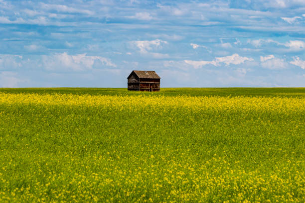 istock canadian farms, prairies 1171142324