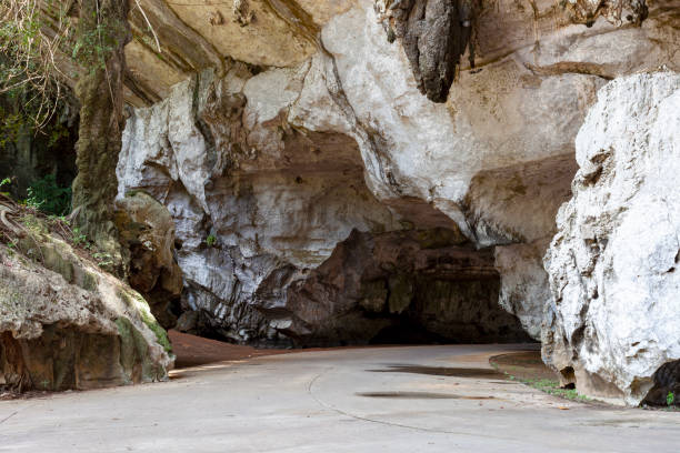 istock Texture of stone in the cave,Cave wall surface 1171143391
