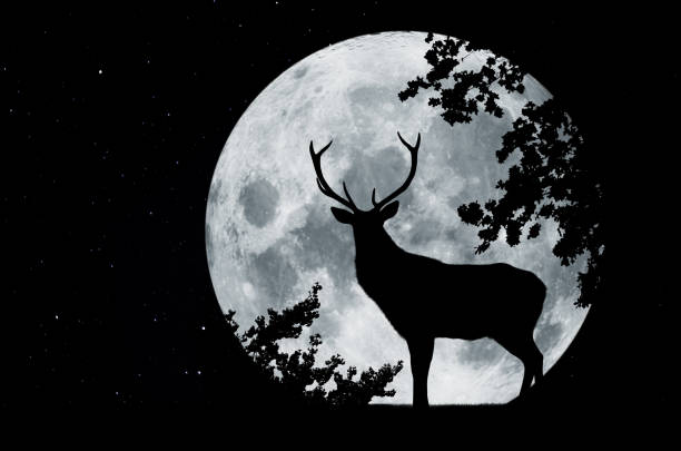 Silhouette in front of full moon