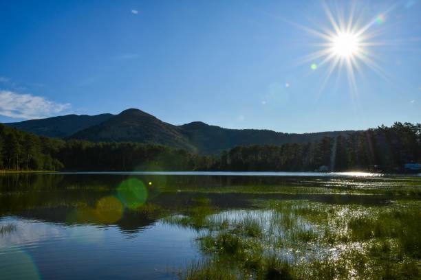 istock Campers by the lake. 1171144857