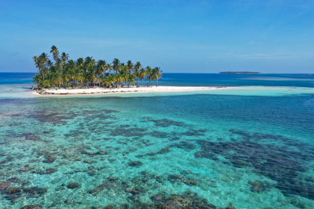 san blas reefs liten ö med kokospalmer - san blas bildbanksfoton och bilder