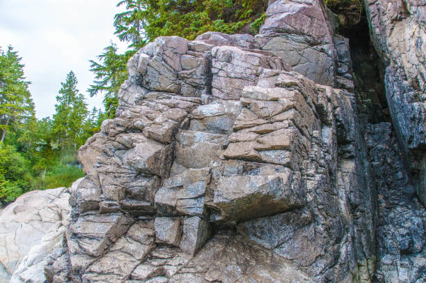 istock West Coast of Vancouver Island 1171146918