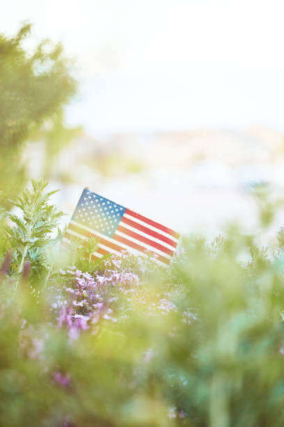 istock Backlit American flag in nature with copy space 1171150209
