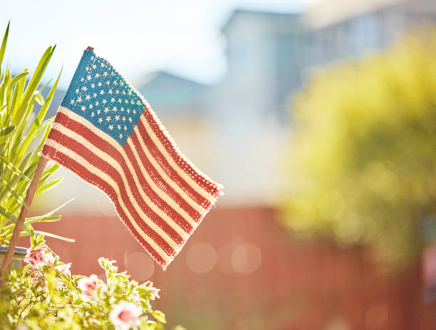 istock Backlit American flag in nature with copy space 1171150221