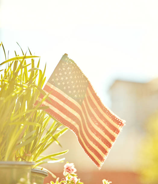 istock Backlit American flag in nature with copy space 1171150225