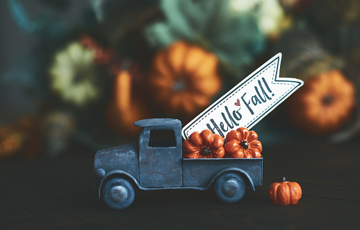 Little truck with load of miniature pumpkins. Thanksgiving background.