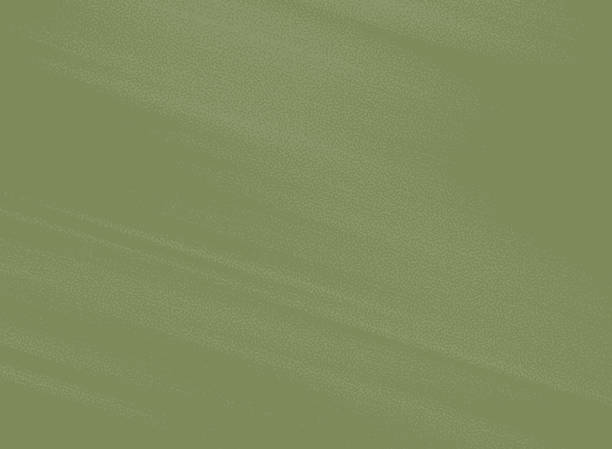 11,900+ Olive Green Background Stock Illustrations, Royalty-Free Vector  Graphics & Clip Art - iStock