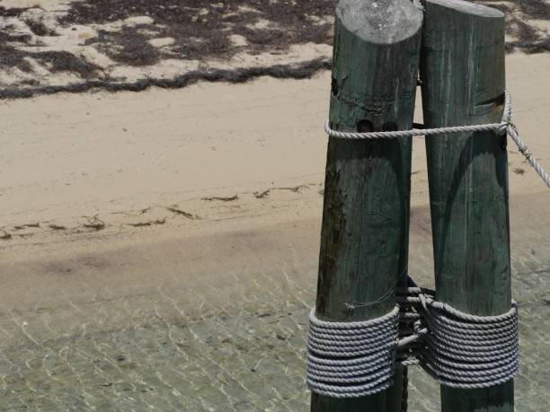 istock Poles with ropes in the dock 1171158996
