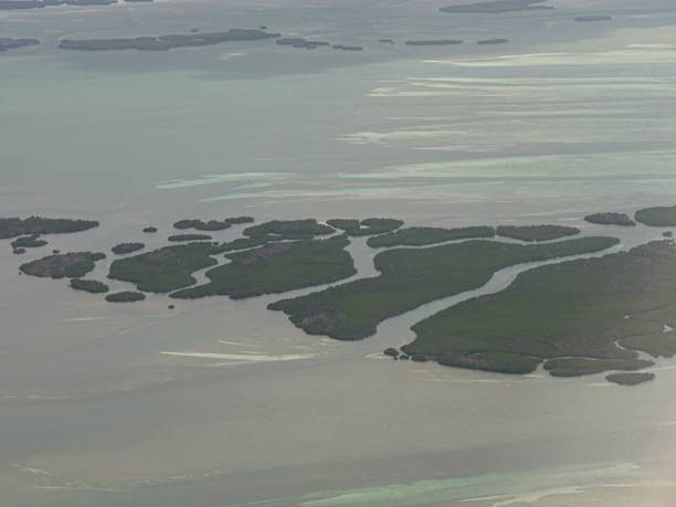 istock Florida Keys photos 1171161772