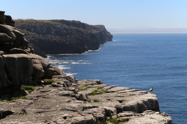istock Coast of Peniche 1171161784