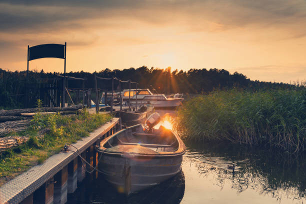 Rowing boat in the reeds at sunset