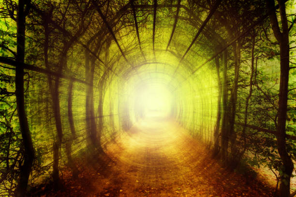 istock Magical Corridor In Autumn Park 1171162383