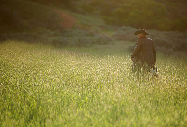 istock Senior cowboy walking thru grass 1171162936