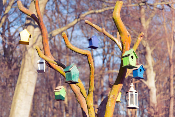 istock Colorful birdhouses hanging on a tree 1171162950