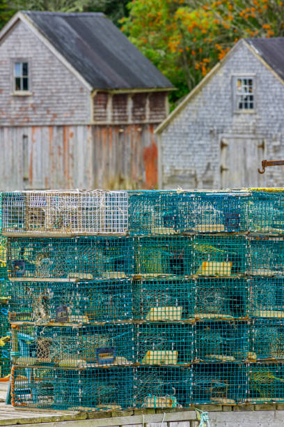 istock Maritime province of Nova Scotia 1171163289