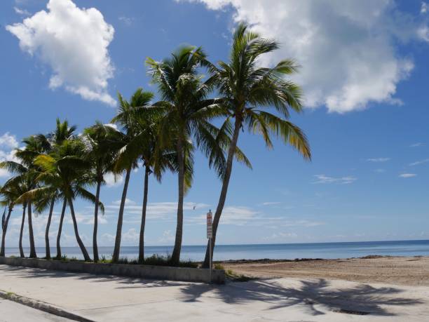 istock Coastal view along S. Roosevelt Boulevard in Key West, Florida. 1171165853