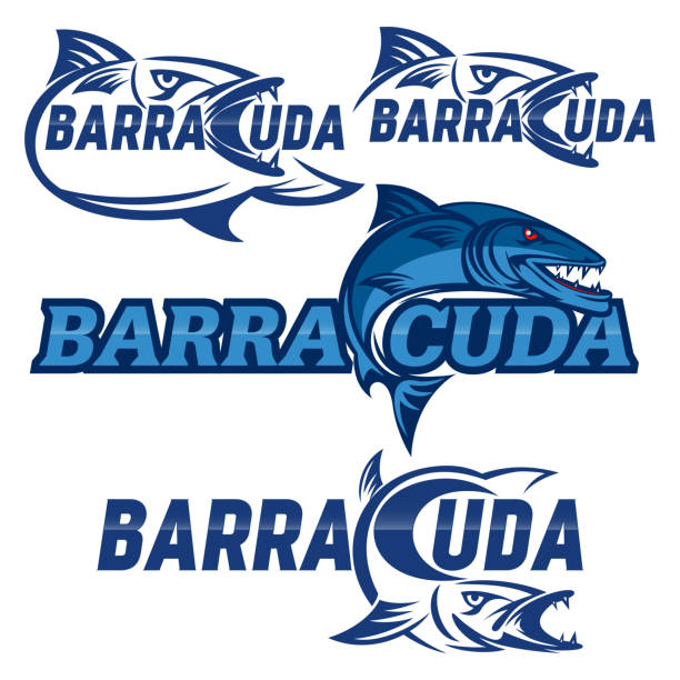 illustrazioni stock, clip art, cartoni animati e icone di tendenza di logo barracuda moderno - barracuda