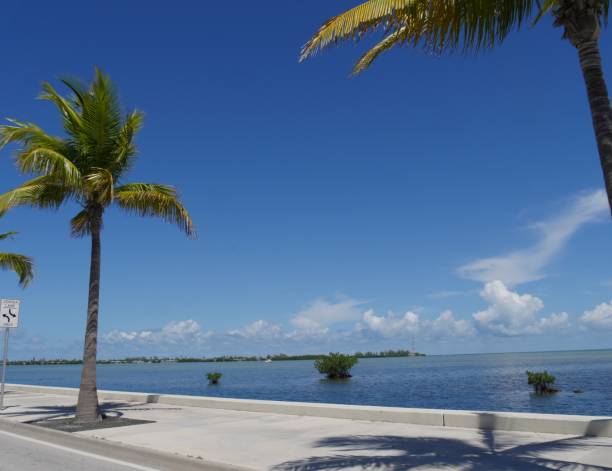 istock Coastal view along S. Roosevelt Boulevard in Key West, Florida. 1171165983