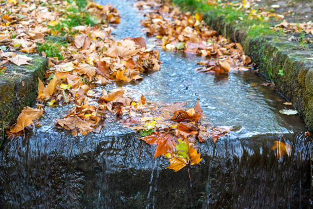 istock Water and leaves flow down a small artificial canal. 1171166564