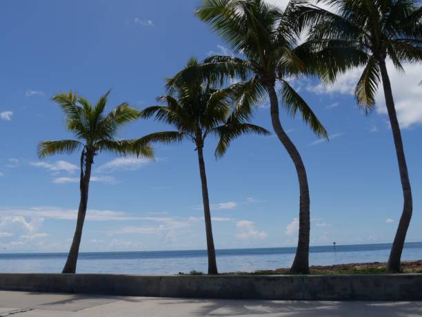 istock Coastal view in Key West, Florida. 1171166893