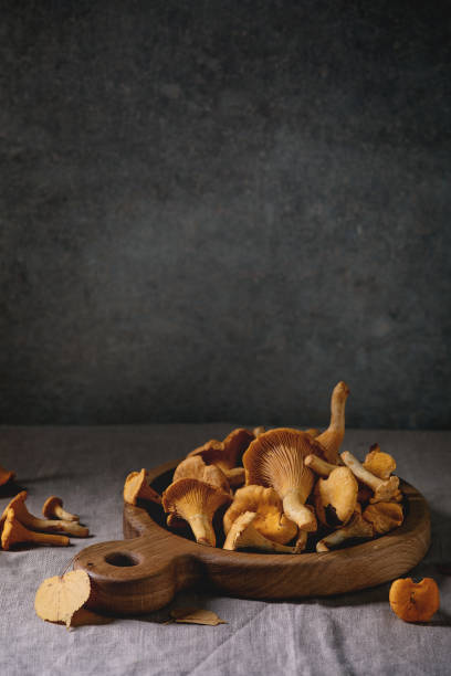 istock Forest chanterelle mushrooms 1171167812