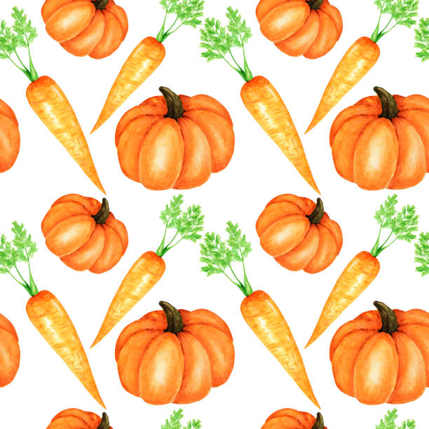 бесшовный узор watercolor окрашены коллекции оранжевых овощей тыквы и моркови. рука обращается свежие веганские продукты питания на белом фоне. - fennel vegetable food white background stock illustrations