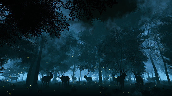 Deer in the night forest